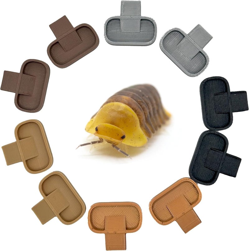 CTWPets Store Isopod 10 Pack Feeding Dish | Isopod Food Tray | Insect Dish | Insect Feeder | (Earth Natural Tones) - Image 1